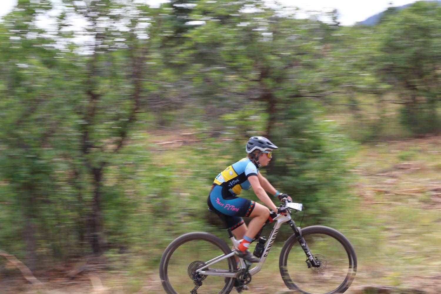 Motion-blurred shot of a rider on the descent